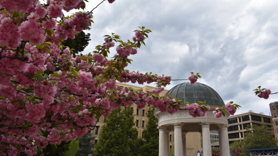 The George Washington University